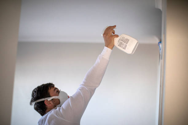 Reliable Cleveland, TX Mold Removal Solutions