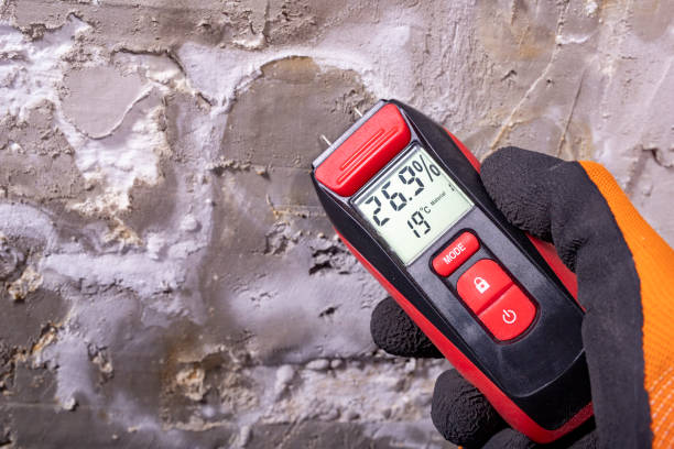 Best Mold Cleaning Services  in Cleveland, TX