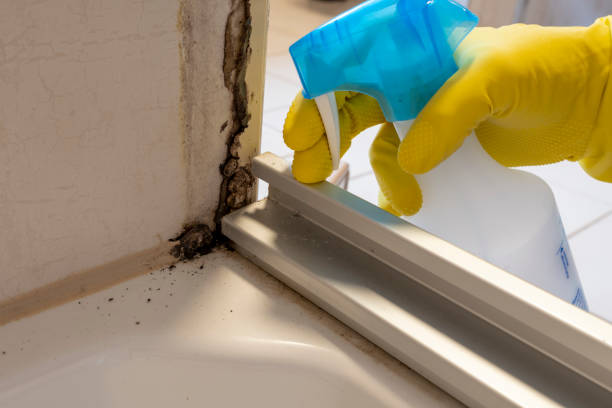 Best Mold Testing  in Cleveland, TX
