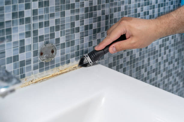Best Mold Removal Company Near Me  in Cleveland, TX