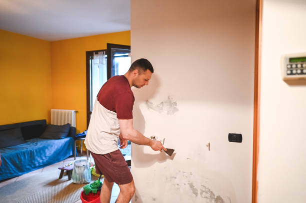 Best Fast Mold Removal  in Cleveland, TX