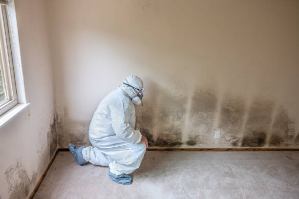 Best Crawl Space Mold Removal  in Cleveland, TX